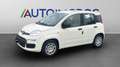 Fiat Panda 1.0 FireFly Hybrid Icon Bianco - thumbnail 1