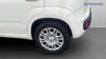 Fiat Panda 1.0 FireFly Hybrid Icon Bianco - thumbnail 9