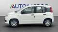 Fiat Panda 1.0 FireFly Hybrid Icon Bianco - thumbnail 2