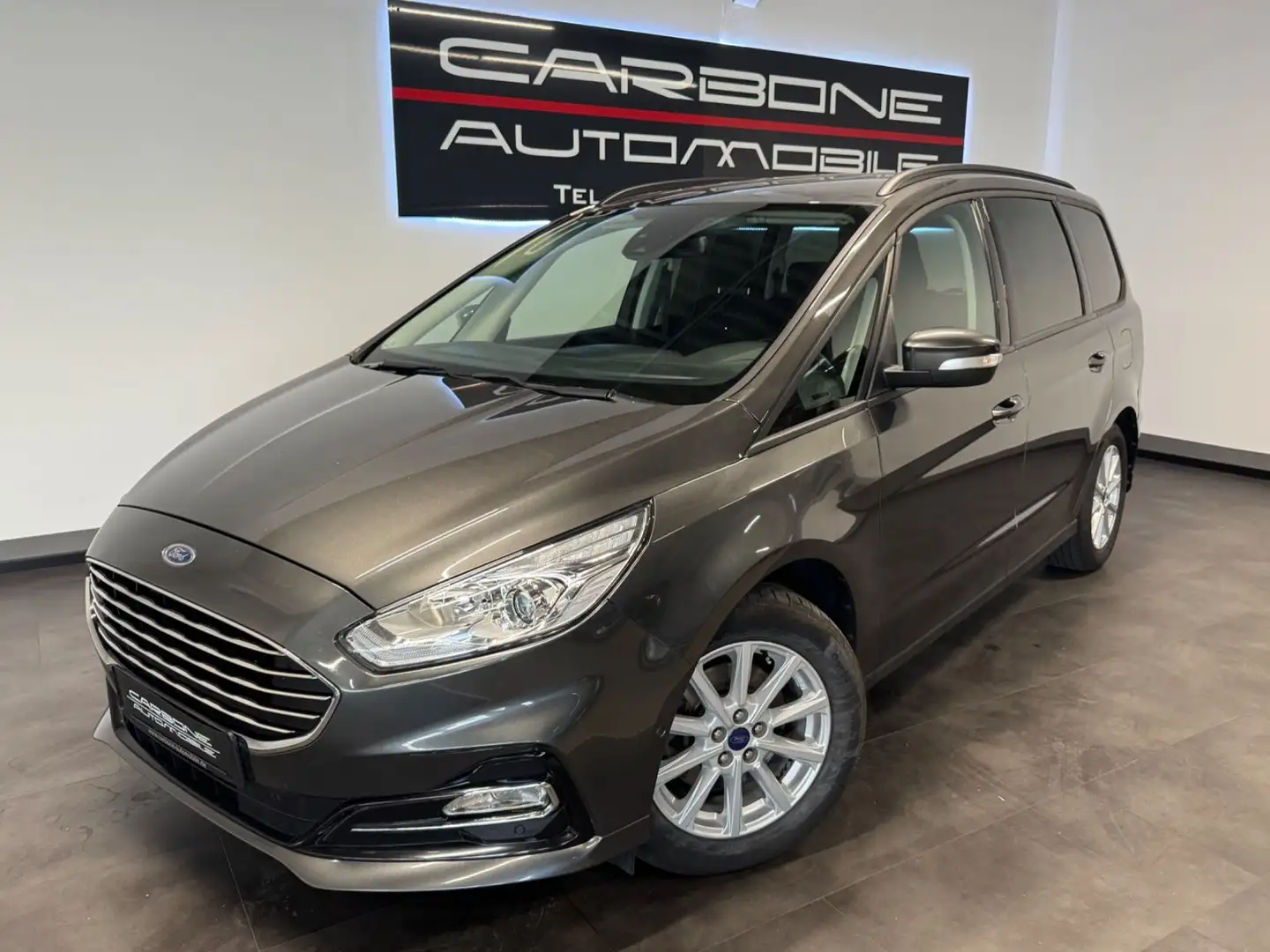 Ford Galaxy 2.0 EcoBlue **Family+Winter** Grau - 1