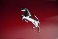 Ferrari 12 Cilindri 6.5 V12 / Full Carbon / Lift / Ex BPM - thumbnail 14
