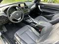 BMW 230 2-serie Cabrio 230i Executive siva - thumbnail 7