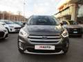 Ford Kuga Kuga 1.5 TDCI Business 120CV Grigio - thumbnail 2