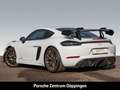Porsche Cayman 718 GT4 RS Überrollkäfig Sportabgasanlage Blanc - thumbnail 4