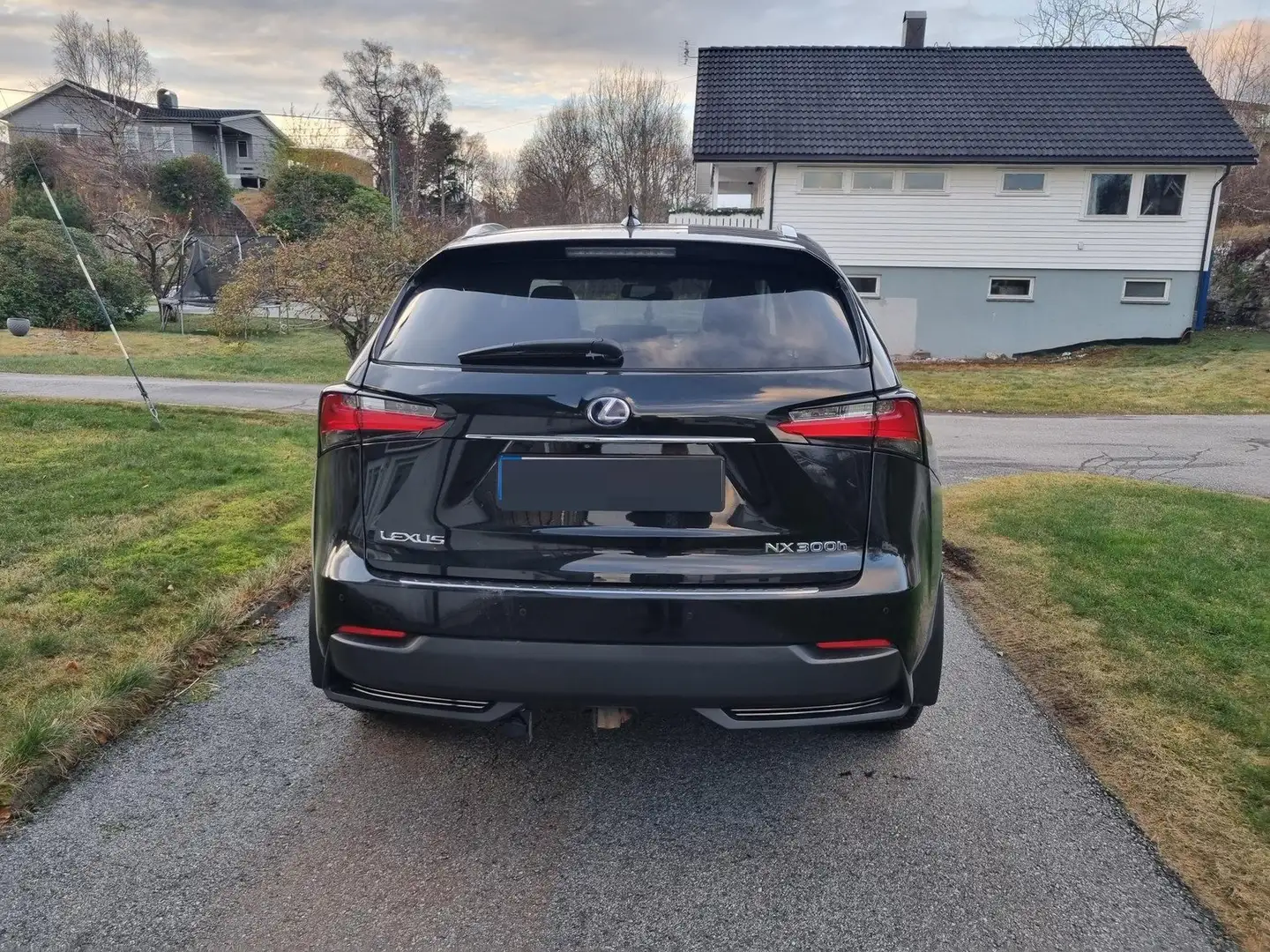 Lexus NX 300h NX 300h F-Sport Schwarz - 2