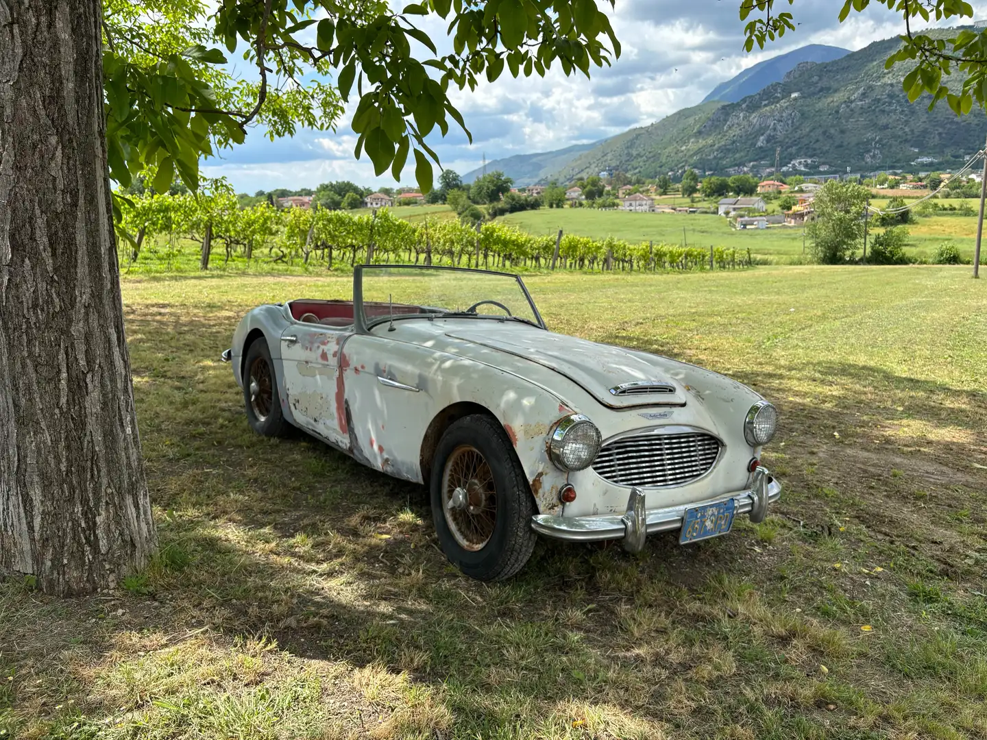 Austin-Healey 3000 mk1 BN 7 crna - 1