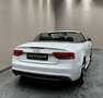 Audi A5 2.0 TFSI Cabrio ***S-LINE***B&O***19 ZOLL*** Weiß - thumbnail 6