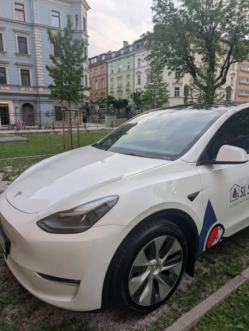 Tesla Model Y Model Y Long Range AWD 75kWh Weiß - 2