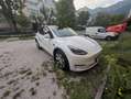 Tesla Model Y Model Y Long Range AWD 75kWh Weiß - thumbnail 1