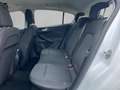 Ford Focus 1.0 Ecoboost Trend 100 Blanco - thumbnail 16