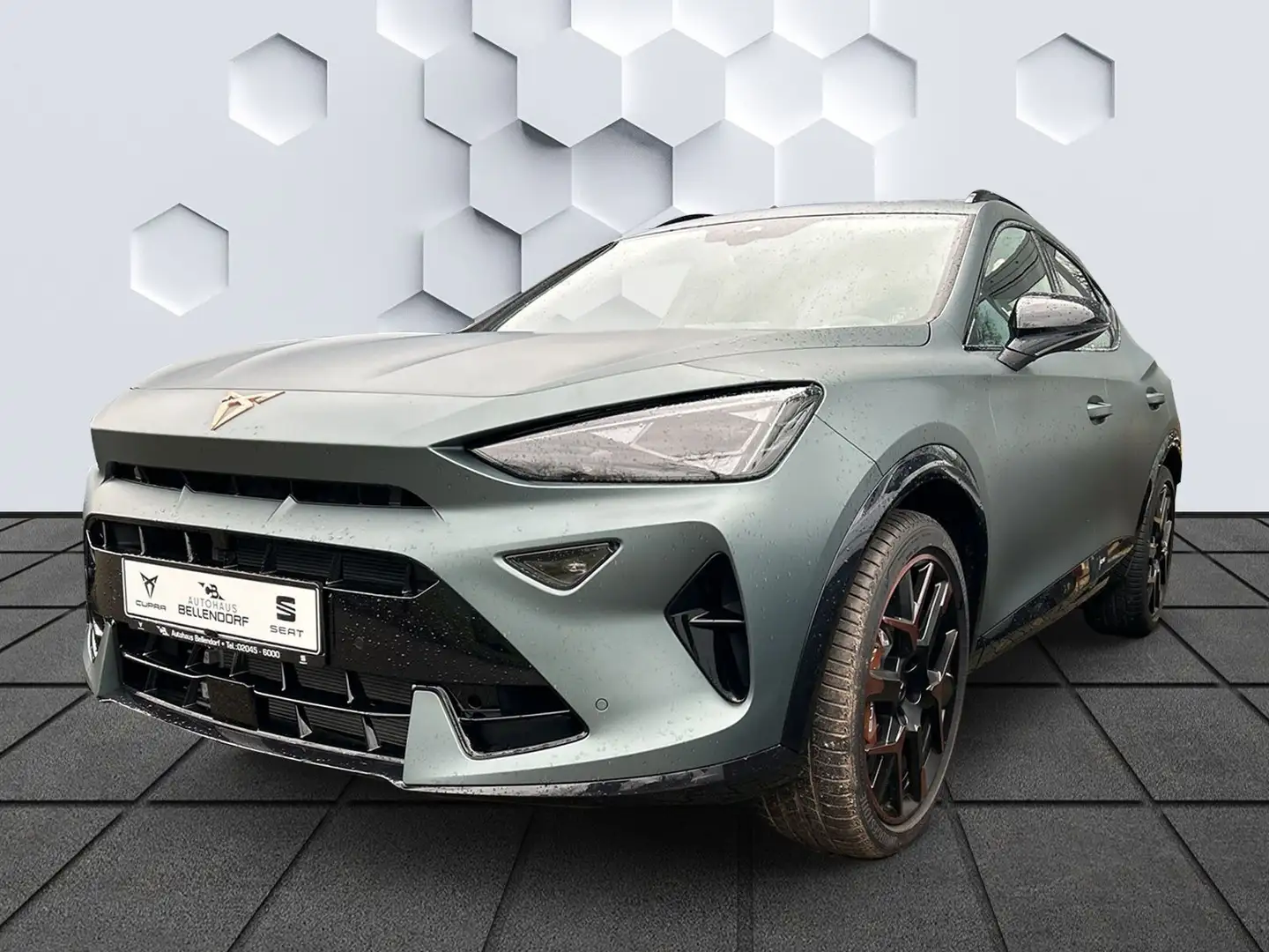 CUPRA Formentor VZ 2.0 TSI 4Drive Extreme AHK Panorama Grau - 1