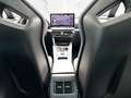 CUPRA Formentor VZ 2.0 TSI 4Drive Extreme AHK Panorama Grau - thumbnail 9