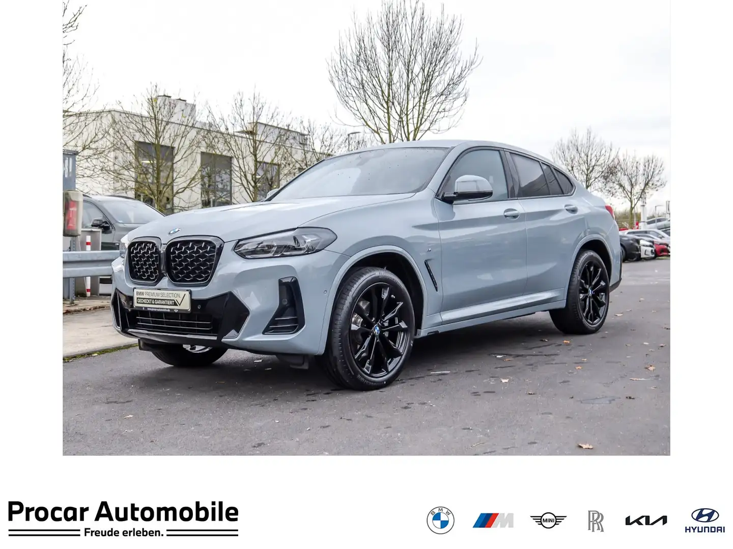 BMW X4 xDrive20i M Sport RFK NAVI LED Sound Syst. Grün - 1
