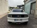 Ford Mustang Fastback 2.3 EcoBoost Aut. Blanco - thumbnail 6