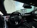 Ford Mustang Fastback 2.3 EcoBoost Aut. Blanco - thumbnail 16