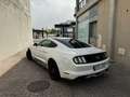 Ford Mustang Fastback 2.3 EcoBoost Aut. Blanco - thumbnail 10
