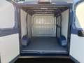 Peugeot Boxer 330 2.2HDi 120CV L1H1 Blu/Azzurro - thumbnail 14