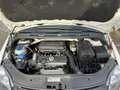 Volkswagen Golf Plus Golf Plus 1.4 Comfortline Alb - thumbnail 12