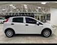 Fiat Punto 1.4 8V 5 porte Easypower Lounge 2015 Orange - thumbnail 8