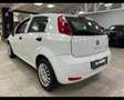 Fiat Punto 1.4 8V 5 porte Easypower Lounge 2015 Orange - thumbnail 5