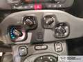 Fiat Panda Panda 1.0 FireFly S&S Hybrid City Life Gris - thumbnail 18