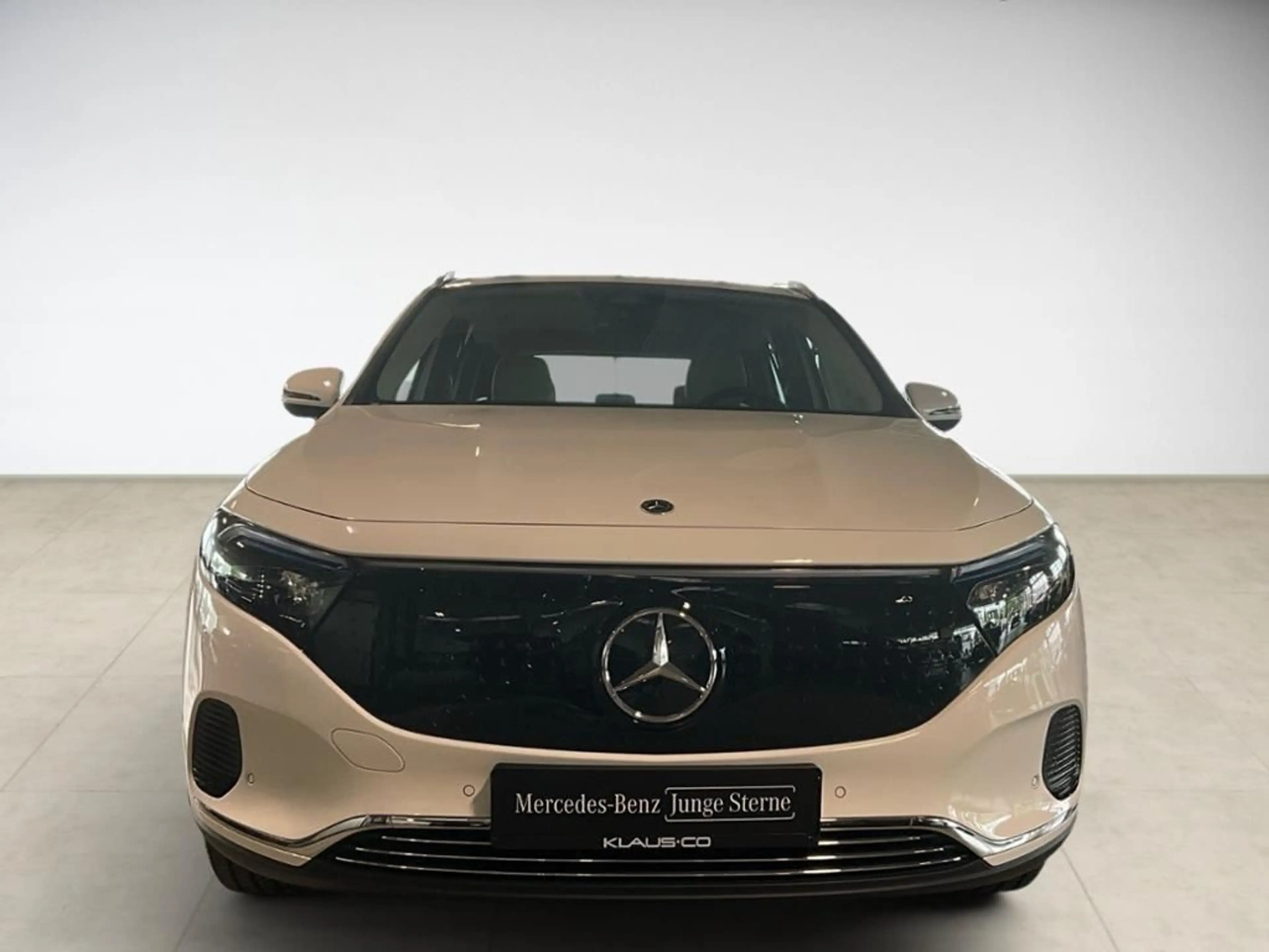 Mercedes-Benz EQA 250+Progressive AUT Kam. KlimaA LED LM PDC — photo 2