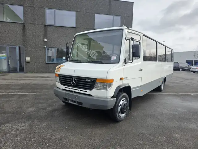Mercedes-Benz Vario 813 (Stock ID 42250)