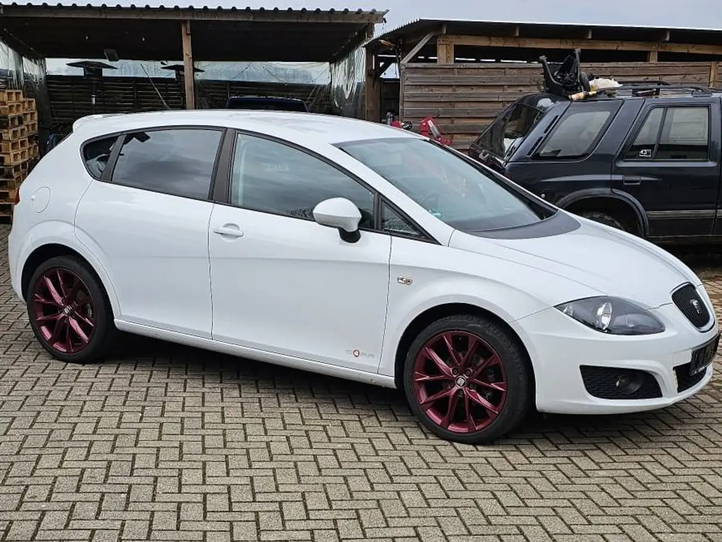 SEAT Leon Leon 1.6 TDI DPF Reference Copa Weiß - 1