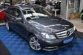 Mercedes-Benz C 220 T CDI *AUTOMATIK*FACELIFT*NAVI*SITZHZG*PDC Grijs - thumbnail 20