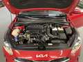 Kia Ceed / cee'd 1.0 T-GDI Eco-Dynamics Drive 100 Violett - thumbnail 33