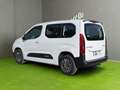 Citroen Berlingo Plus M, Rückfahrkamera, AHK-Vorbereitung Weiß - thumbnail 3