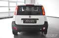 Fiat Panda 1.3 MJT S&S Pop Van - Imm. Autocar. -Ok Neopatent. Weiß - thumbnail 4