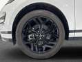 Land Rover Range Rover Evoque P300e R-Dynamic SE Weiß - thumbnail 9
