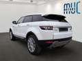 Land Rover Range Rover Evoque TD4 Prestige Sound Pano AHK Blanc - thumbnail 6