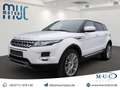 Land Rover Range Rover Evoque TD4 Prestige Sound Pano AHK Blanc - thumbnail 1