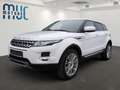 Land Rover Range Rover Evoque TD4 Prestige Sound Pano AHK Blanc - thumbnail 2