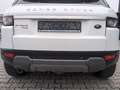 Land Rover Range Rover Evoque TD4 Prestige Sound Pano AHK Blanc - thumbnail 12