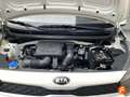 Kia Picanto 1.0 DPi Concept Blanco - thumbnail 15