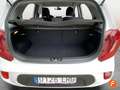 Kia Picanto 1.0 DPi Concept Blanco - thumbnail 13