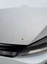 Volkswagen Golf Variant Golf Variant Comfortline 1,6 TDI Comfortline Weiß - thumbnail 8