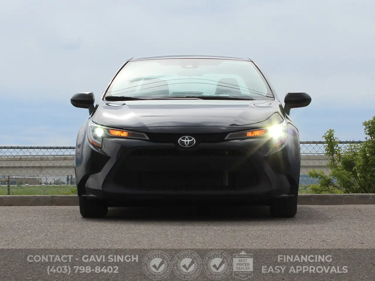 Toyota Corolla fotografie Toyota Corolla