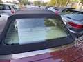 Mercedes-Benz CE 220 CE 220 CABRIO SPORTLINE - thumbnail 13