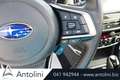Subaru Forester 2.0 e-Boxer MHEV CVT  Premium "GANCIO TRAINO"" Weiß - thumbnail 23