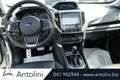 Subaru Forester 2.0 e-Boxer MHEV CVT  Premium "GANCIO TRAINO"" Weiß - thumbnail 11