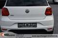 Volkswagen Polo V GTI  *PANO*NAVI*17" ALU*SITZHZG*PDC*CAM Weiß - thumbnail 8