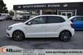 Volkswagen Polo V GTI  *PANO*NAVI*17" ALU*SITZHZG*PDC*CAM Weiß - thumbnail 5