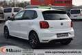 Volkswagen Polo V GTI  *PANO*NAVI*17" ALU*SITZHZG*PDC*CAM Weiß - thumbnail 3