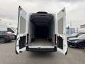 Ford Transit Kasten L4H3 Trend, 2.0 TDCI, Euro 6 Weiß - thumbnail 9