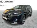 Lexus NX 300h Executive Line Schwarz - thumbnail 1