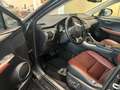 Lexus NX 300h Executive Line Schwarz - thumbnail 6